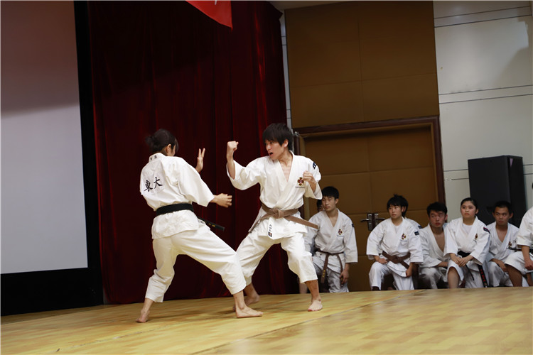 8日本拳法联盟学生表演武术.JPG