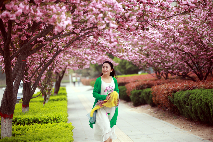 1767750453381560.jpg 张鹏丽.JPG